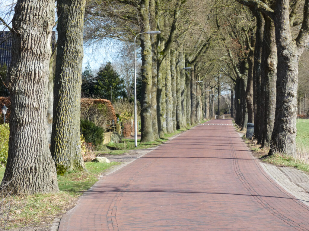 2010706-1024x768 Politie zoekt getuigen van mishandeling na aanrijding in Lheebroek