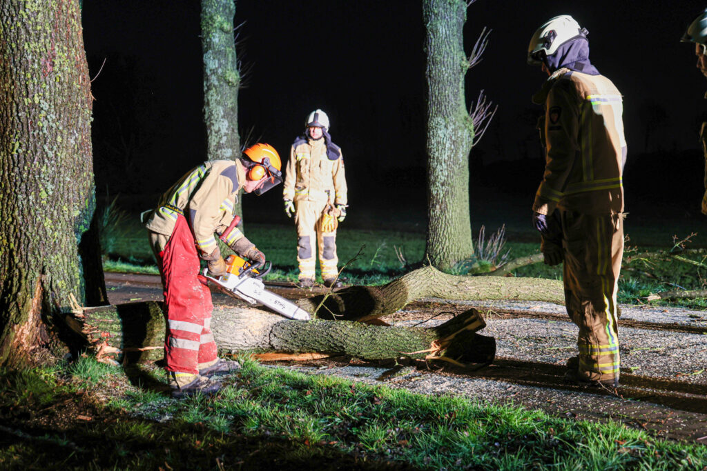 208A4770-1024x683 Stormschade op de Lheebroekerweg in Dwingeloo, grote tak blokkeert de weg