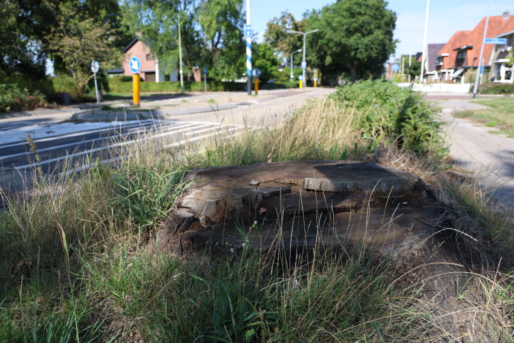LARS1656-1024x683 Aanpak Esweg in Beilen opnieuw vertraagd
